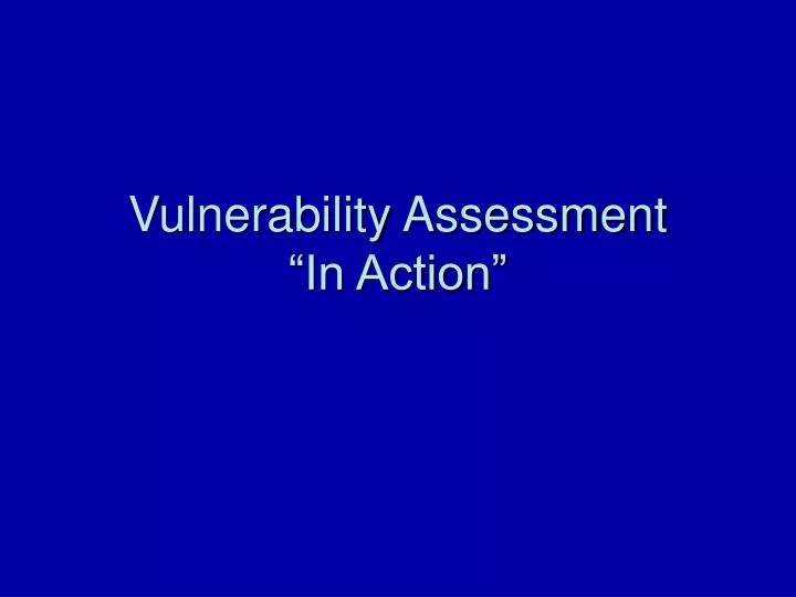 vulnerability assessment in action