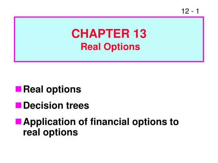 chapter 13 real options