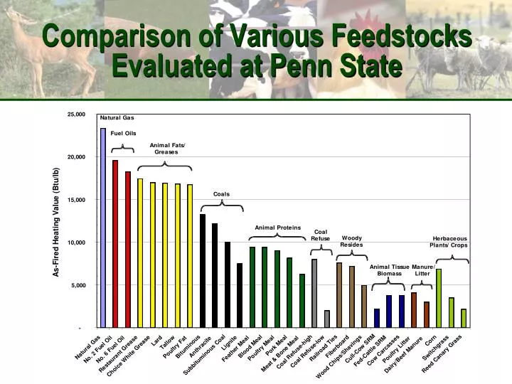 comparison of various feedstocks evaluated at penn state