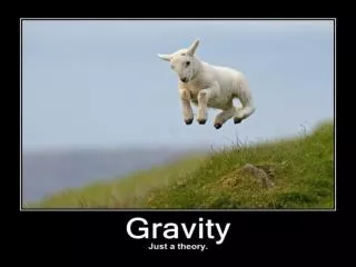What is Gravity?