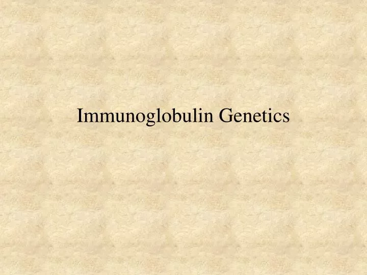 immunoglobulin genetics