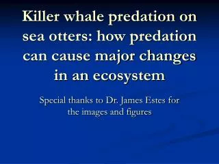 Killer whale predation on sea otters: how predation can cause major changes in an ecosystem