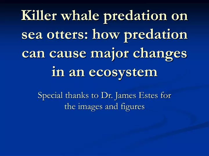 killer whale predation on sea otters how predation can cause major changes in an ecosystem