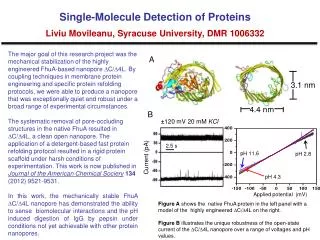 Single-Molecule Detection of Proteins Liviu Movileanu, Syracuse University , DMR 1006332