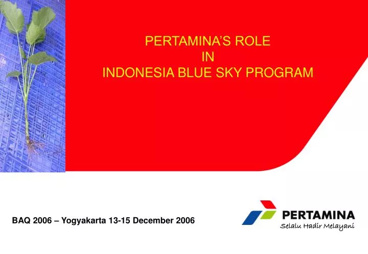 pertamina s role in indonesia blue sky program