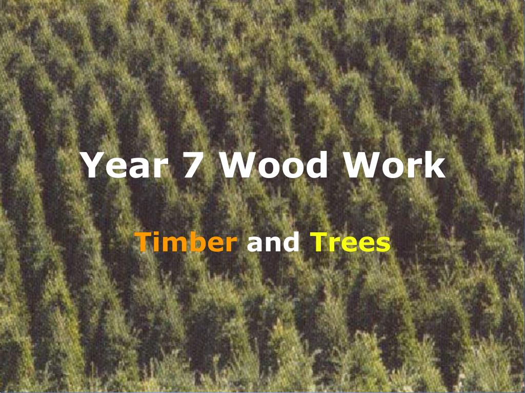 PPT - Year 7 Wood Work PowerPoint Presentation, free download - ID:6805129
