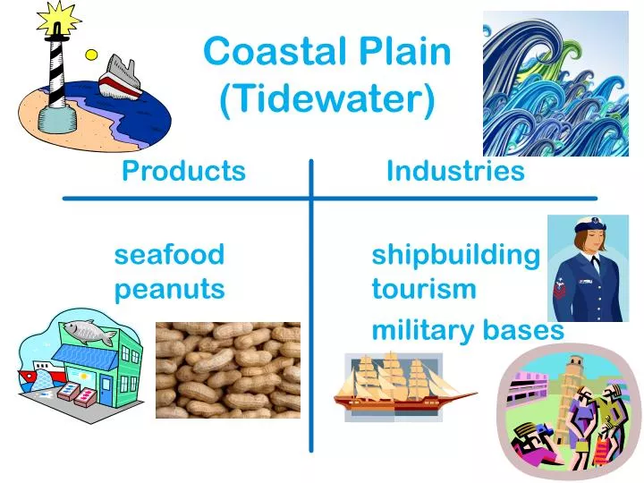 coastal plain tidewater