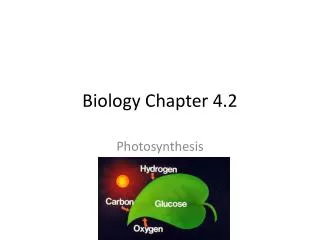biology chapter 4 2