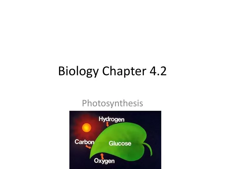 biology chapter 4 2