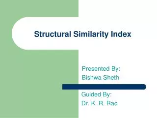 Structural Similarity Index