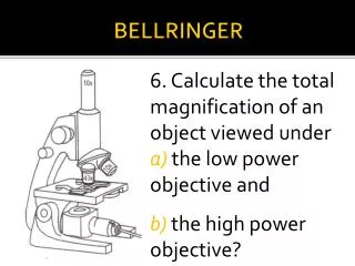 BELLRINGER