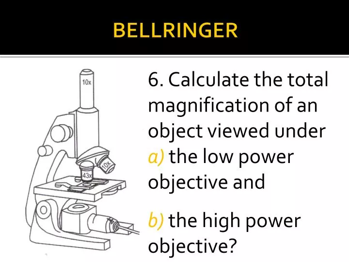 bellringer