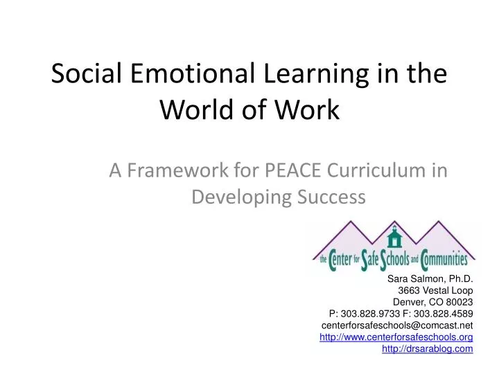 social emotional learning in the world of work