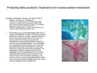 Predicting delta avulsions: Implications for coastal wetland restoration