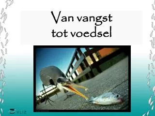 Van vangst tot voedsel