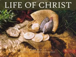 Life Of Christ SAMPLE