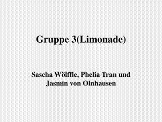 Gruppe 3(Limonade)