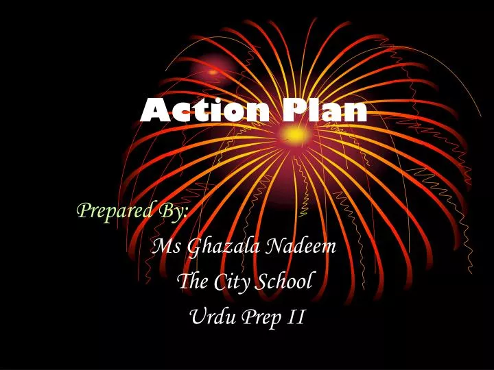 action plan