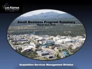 Small Business Program Summary