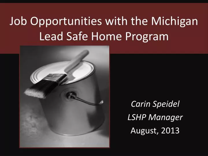 job opportunities with the michigan lead safe home program