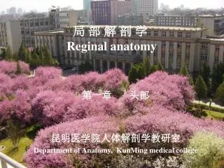 reginal anatomy