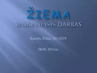 iema baigiamasis darbas