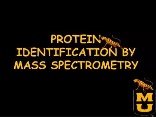 PROTEIN IDENTIFICATION BY MASS SPECTROMETRY