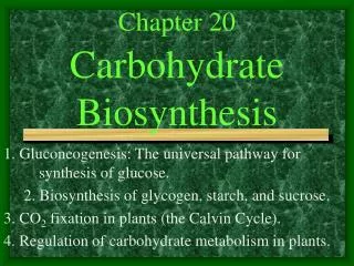 Chapter 20 Carbohydrate Biosynthesis