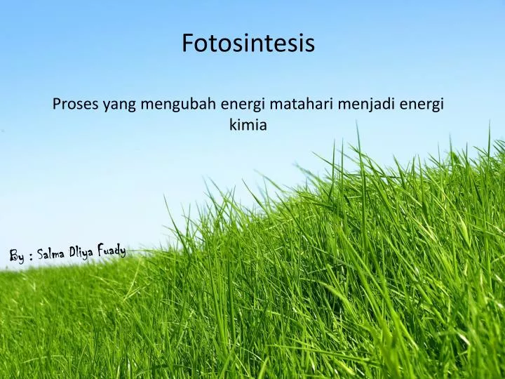 fotosintesis proses yang mengubah energi matahari menjadi energi kimia