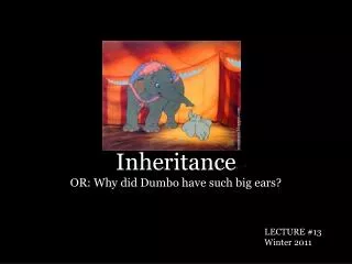 Inheritance OR: Why did Dumbo have such big ears?