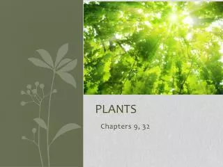 PLANTS