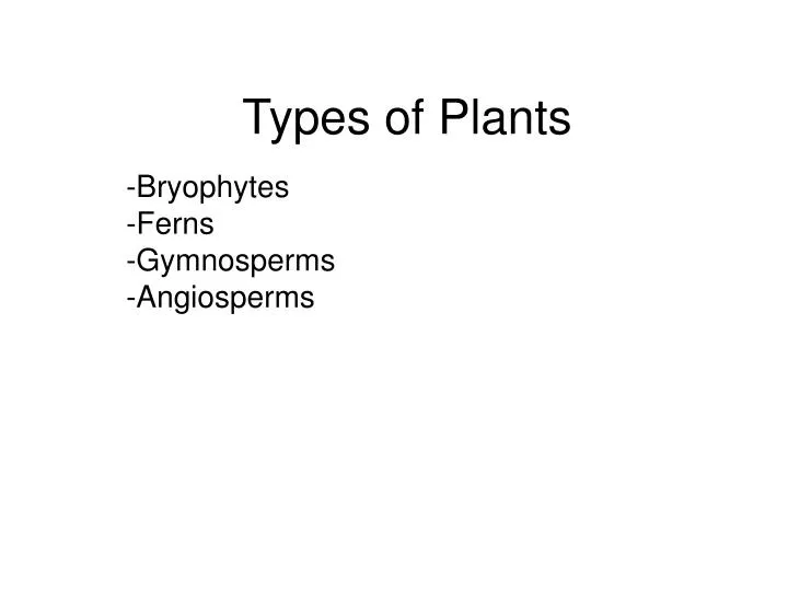 types of plants