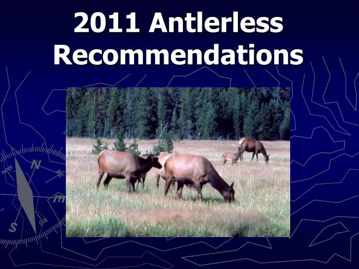 2011 antlerless recommendations
