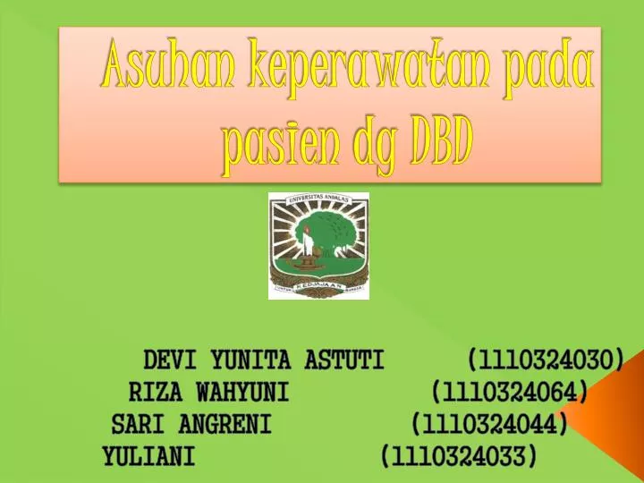 asuhan keperawatan pada pasien dg dbd