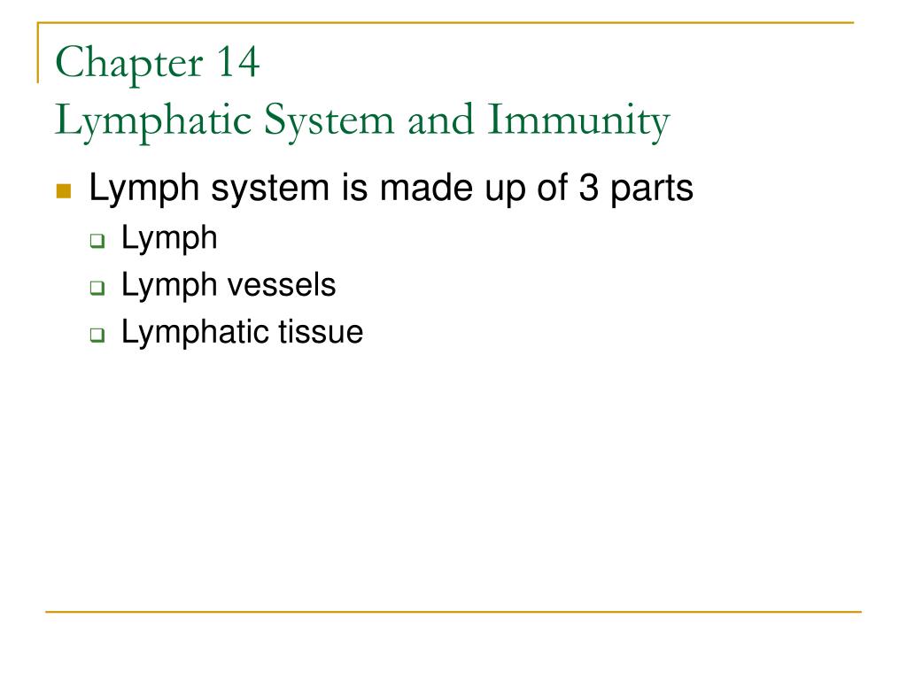 Ppt Chapter 14 Lymphatic System And Immunity Powerpoint Presentation