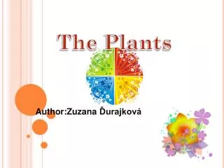 Author :Zuzana Ďurajková