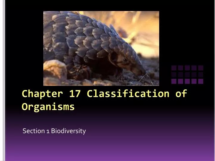 chapter 17 classification of organisms