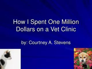 How I Spent One Million Dollars on a Vet Clinic