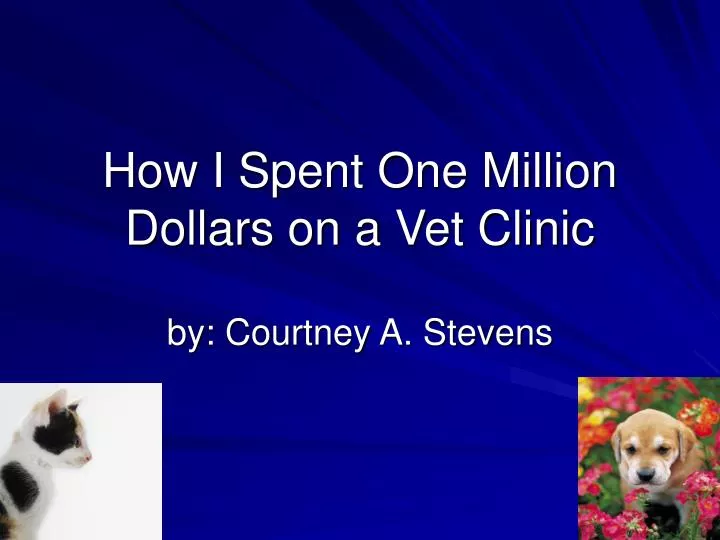 how i spent one million dollars on a vet clinic