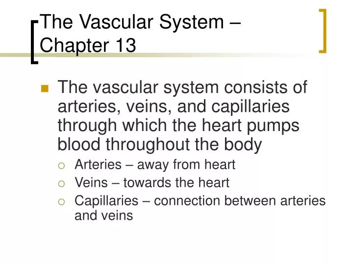 the vascular system chapter 13