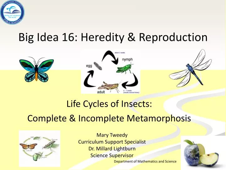 big idea 16 heredity reproduction