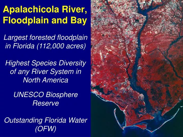 apalachicola river floodplain and bay