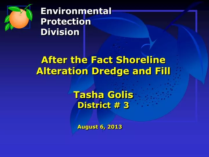 after the fact shoreline alteration dredge and fill tasha golis district 3