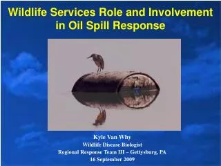 Wildlife Services Role and Involvement in Oil Spill Response