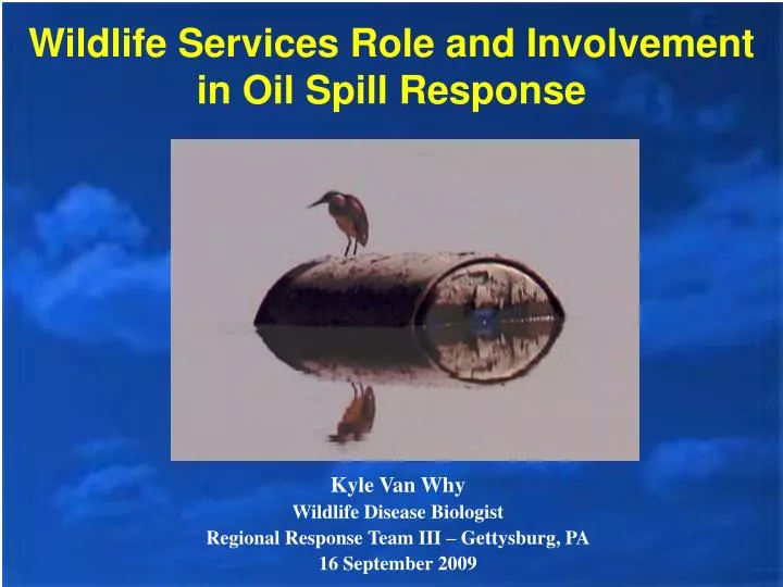 wildlife services role and involvement in oil spill response