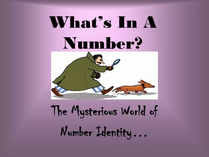 what s in a number