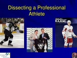 Dissecting a Professional Athlete