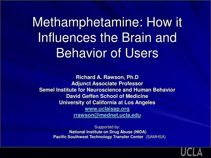 methamphetamine how it influences the brain and behavior of users