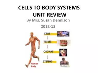 CELLS TO BODY SYSTEMS UNIT REVIEW