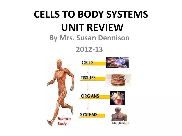 cells to body systems unit review